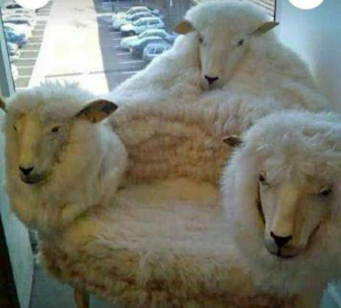 b92fa4f1-01fa-4568-9218-bfe39276e234