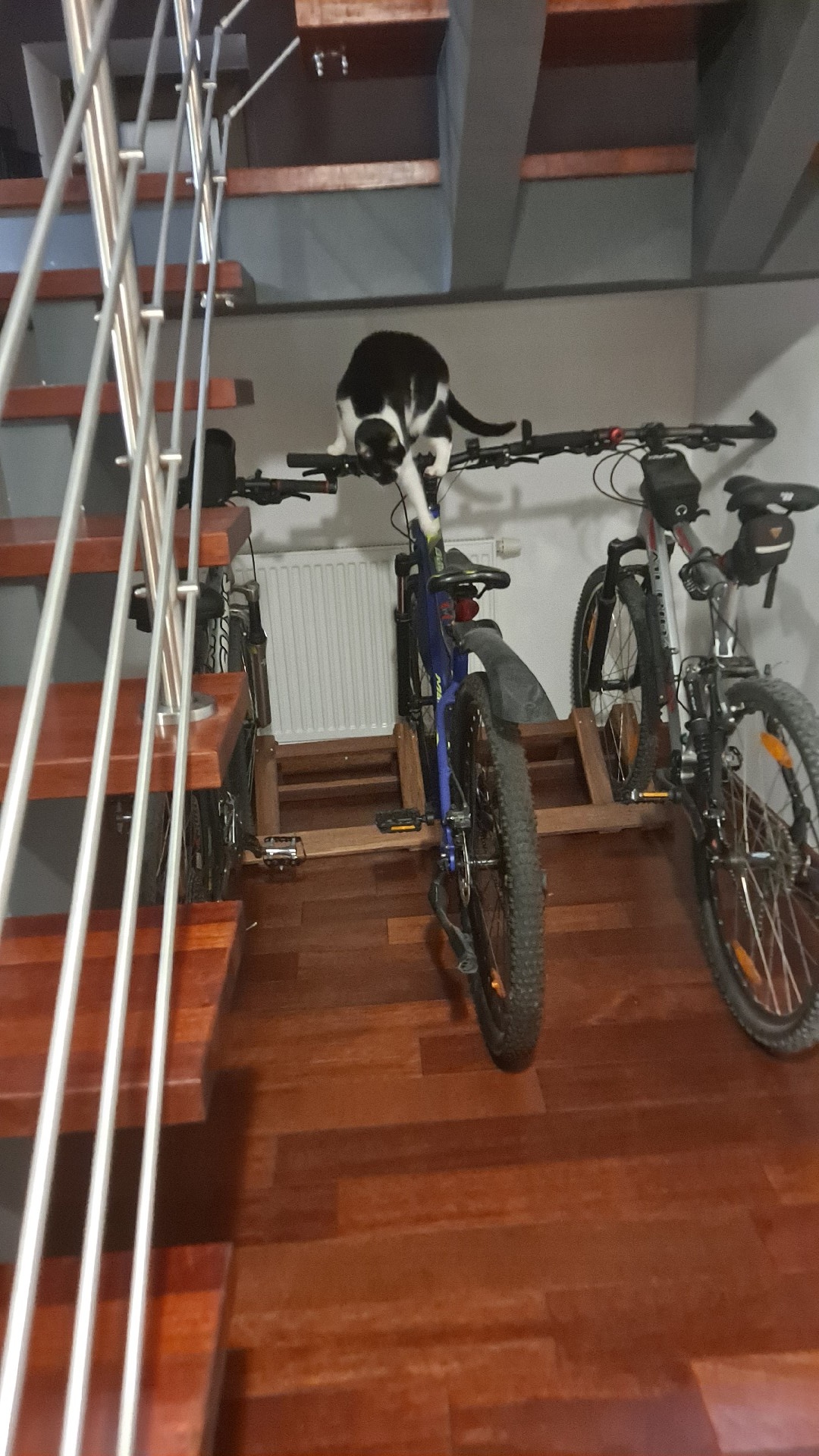 cb2a056d-861c-4002-9fe3-31cfa98b0e88