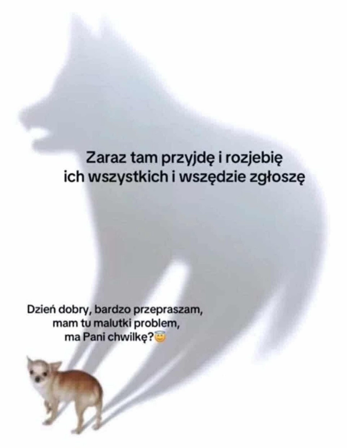 540b5e62-44c3-4898-9770-34becc0bc0a6