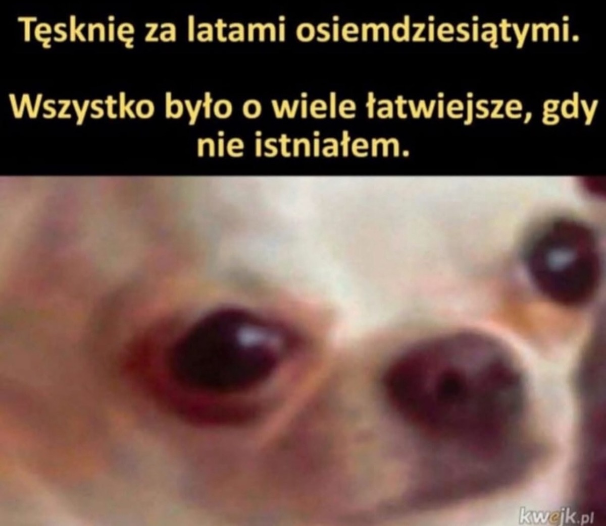 f0fdca52-0aeb-4375-9b18-9639af7512bb