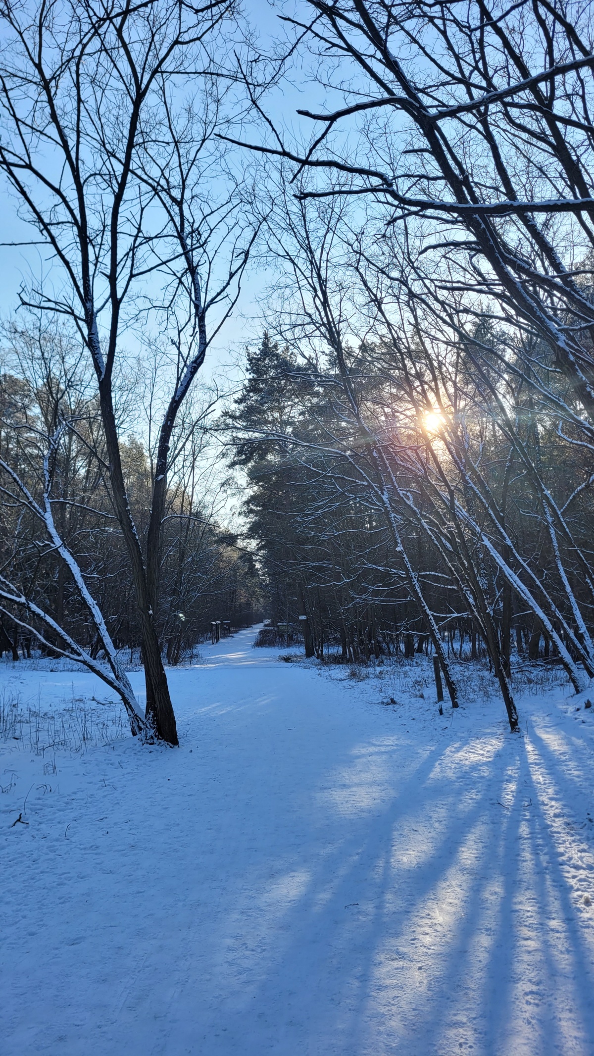 a231e00a-ac4c-4985-87a9-8941755cbda4