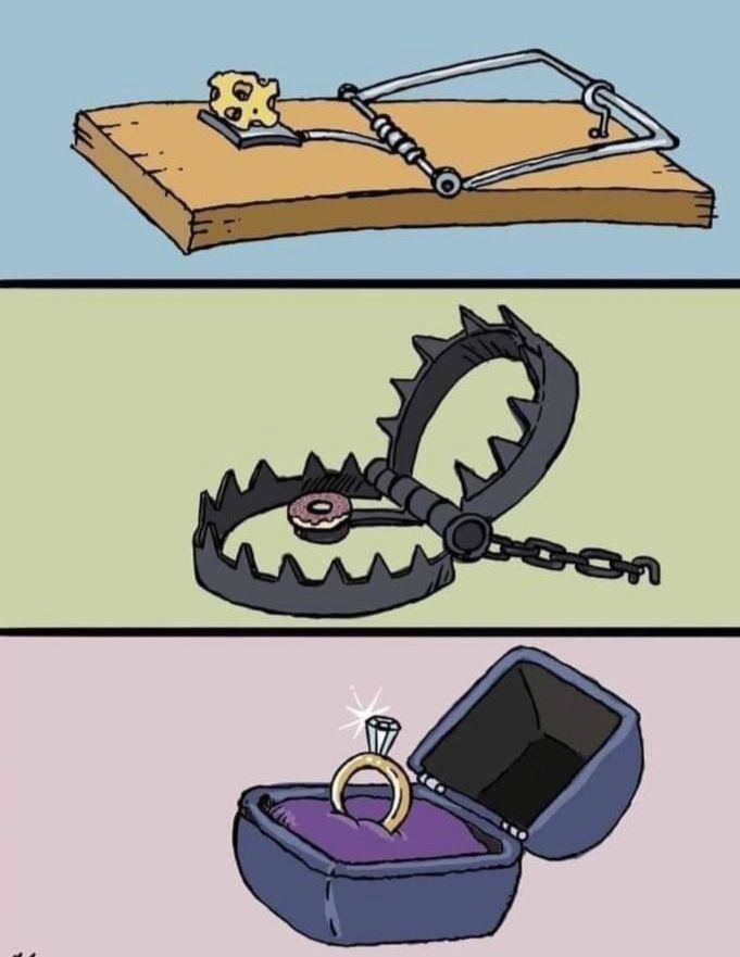 911d33de-2700-4524-b0cb-74bed9ee53c1