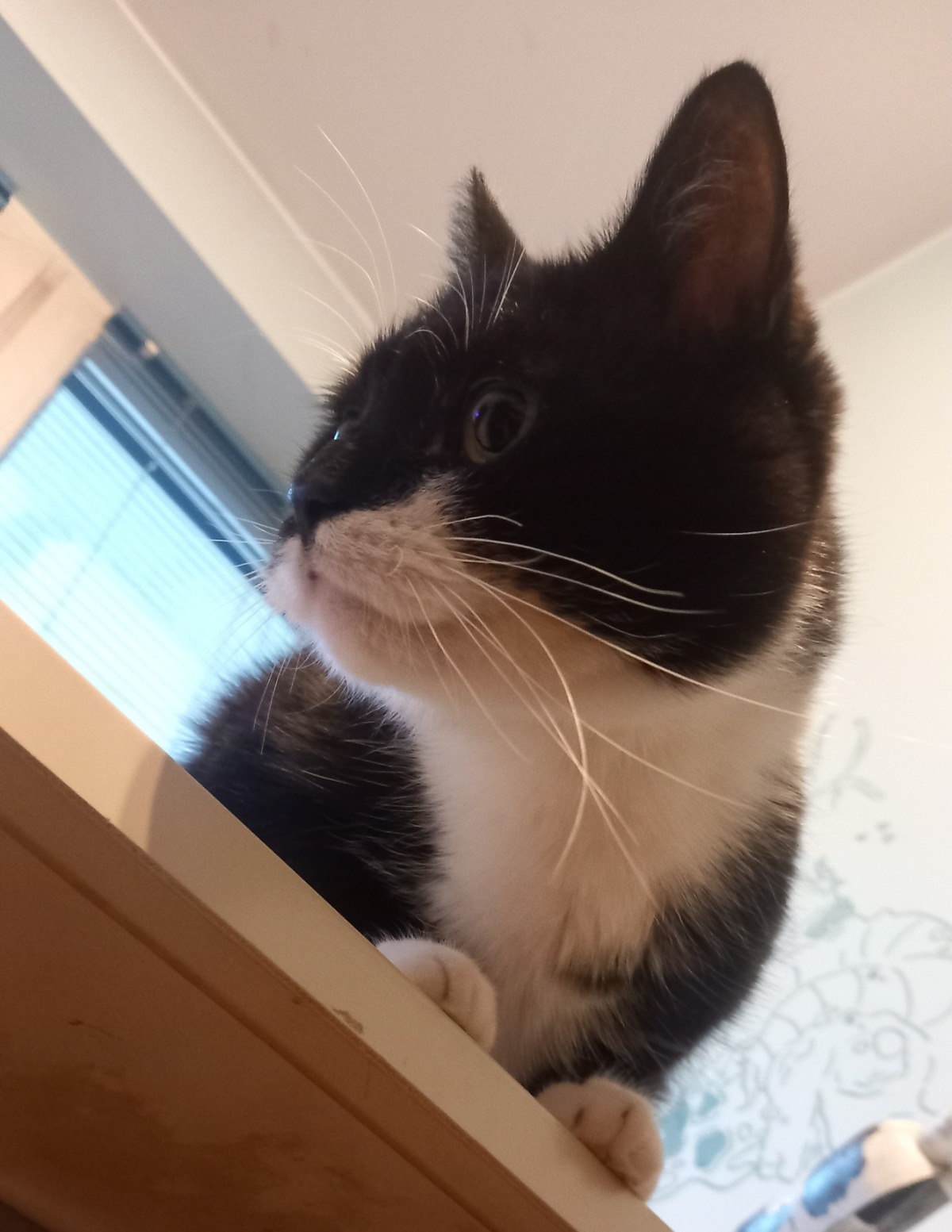 5dadd3c9-ff8e-402e-8043-b1fc41099398