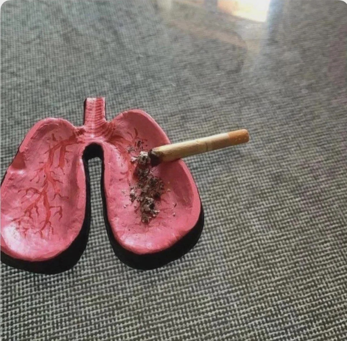 2ae2ae34-e79c-4ce9-a5a6-d7277dde46be