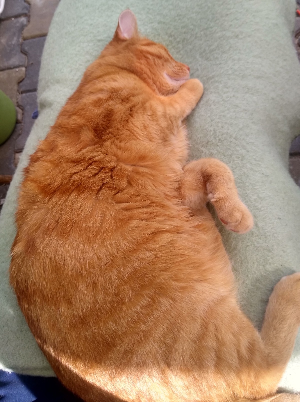 825e41fa-b3ad-4113-aa35-7fef7a1a67bb