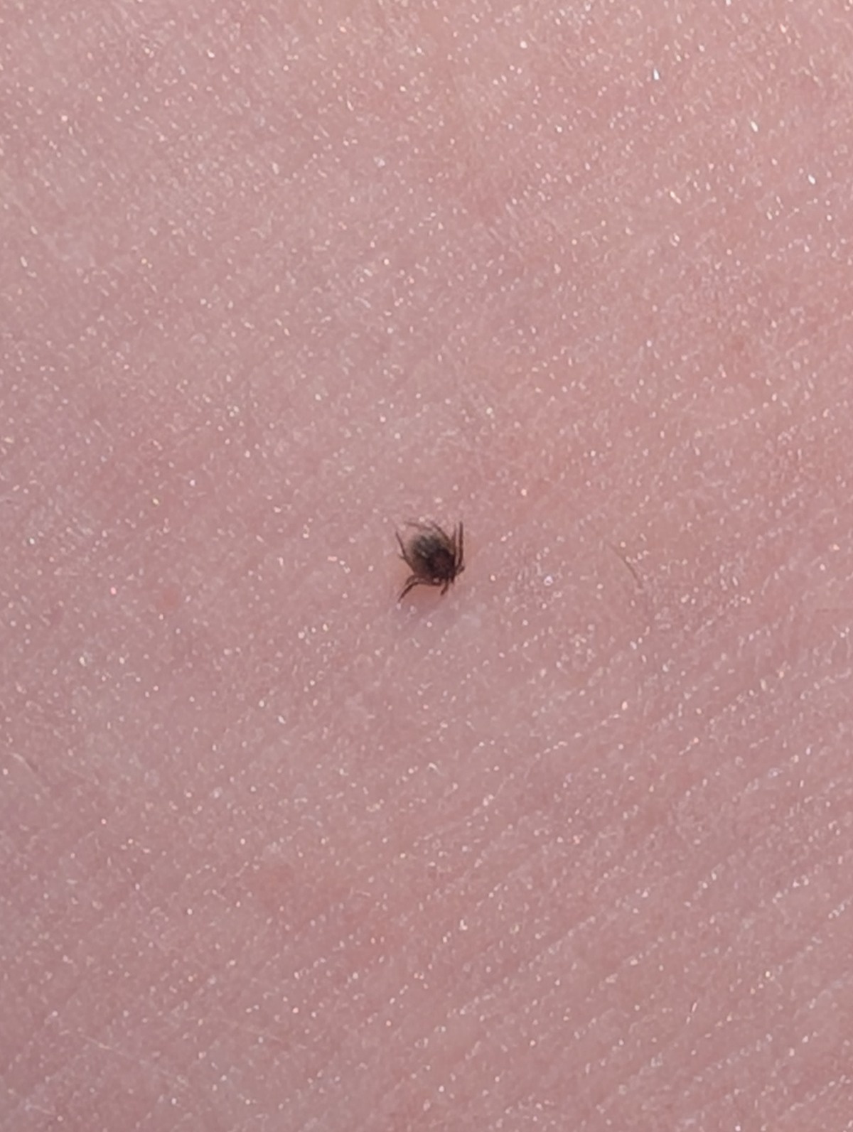 e6743cb1-3bc4-423c-a6db-94e486652c98