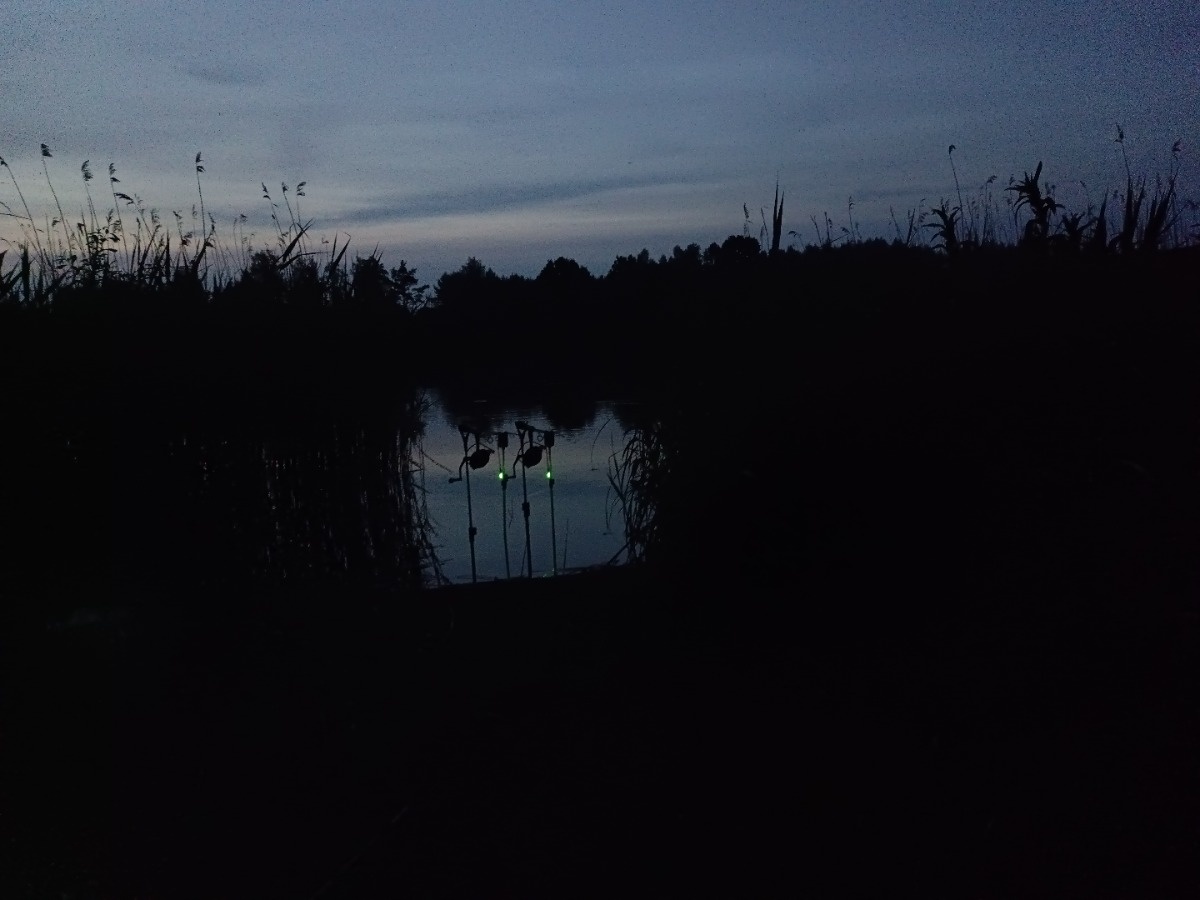 2b082415-d1e4-47db-ba3a-ea2ddf1bd9ef