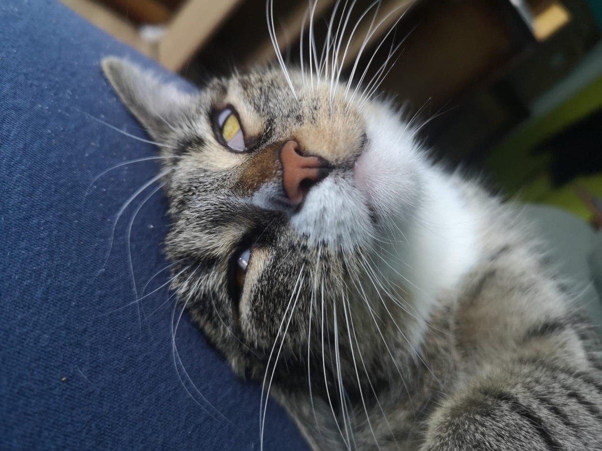 0450c044-6d9f-42f3-b6c8-803e690171b4