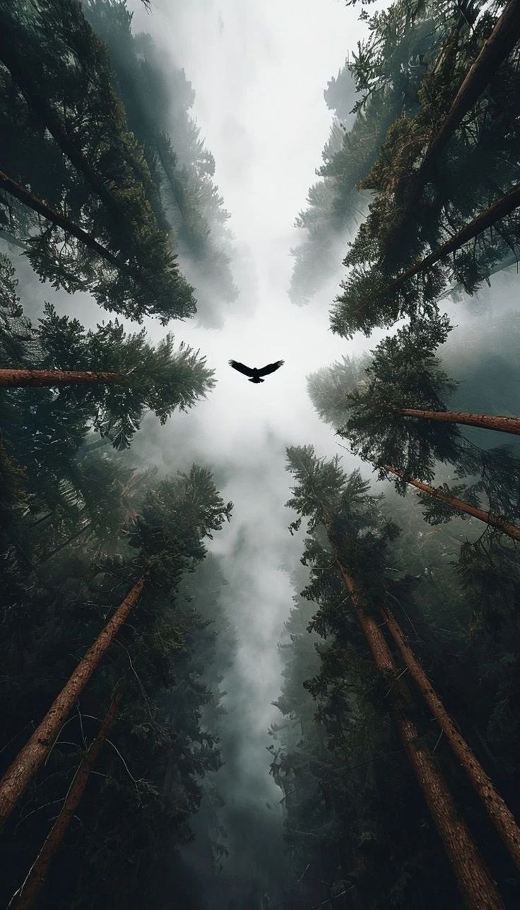 abe6f149-40f2-4aef-95ed-6a7f32dd6437