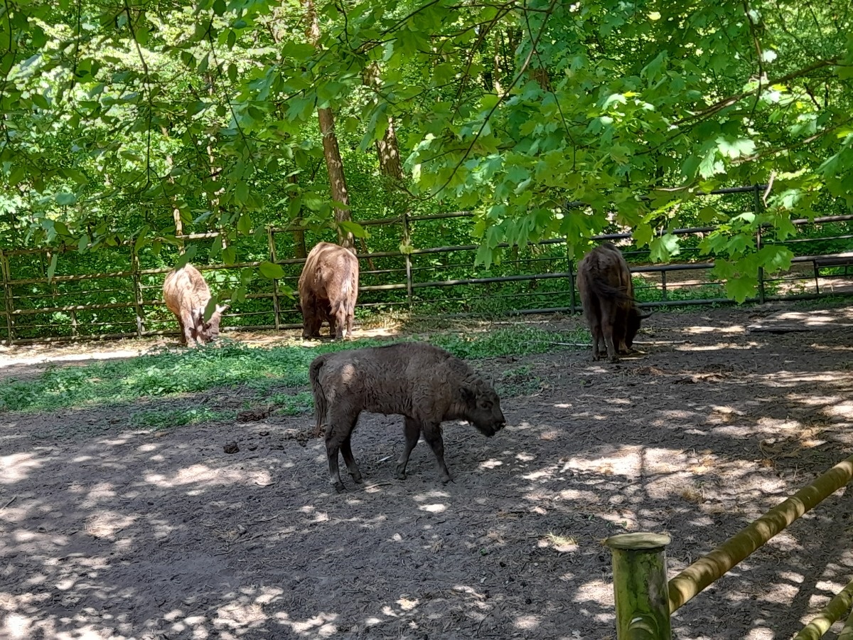 bb4bf073-9be4-48ee-9bae-65cb693acaf9