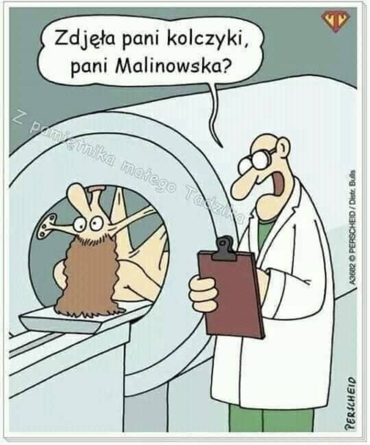 50d75eb5-46bc-4e51-9658-317297580636