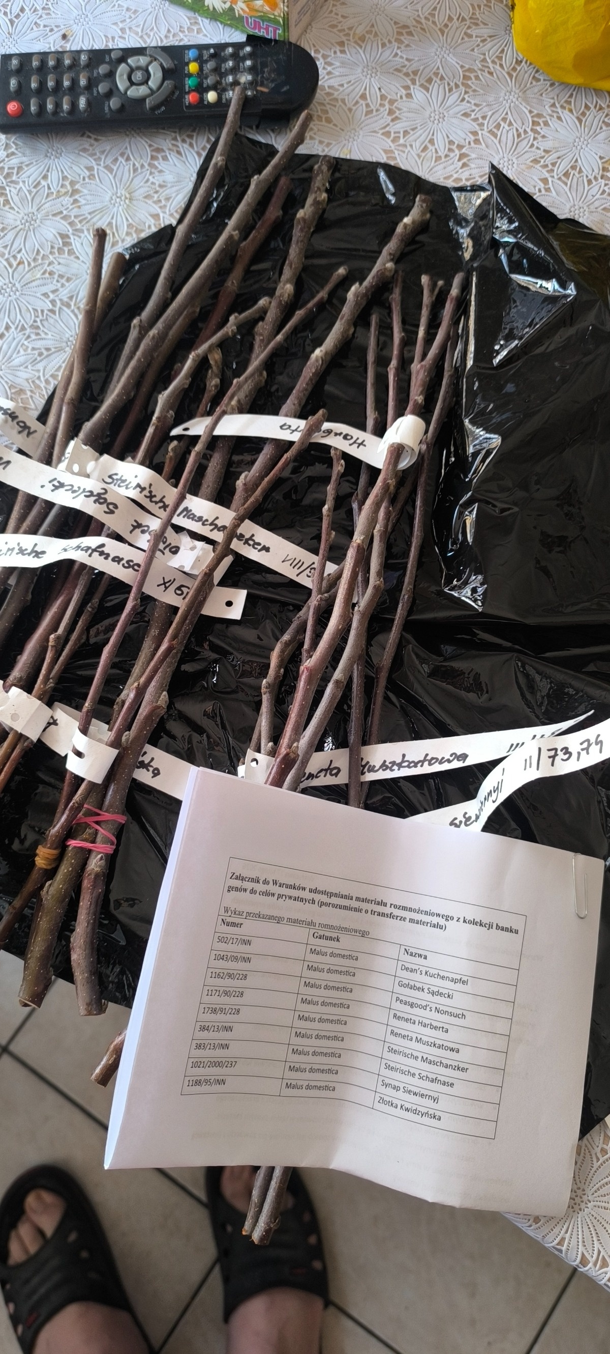 77ebfe3f-13f7-4478-b126-a9bbdd3f5883