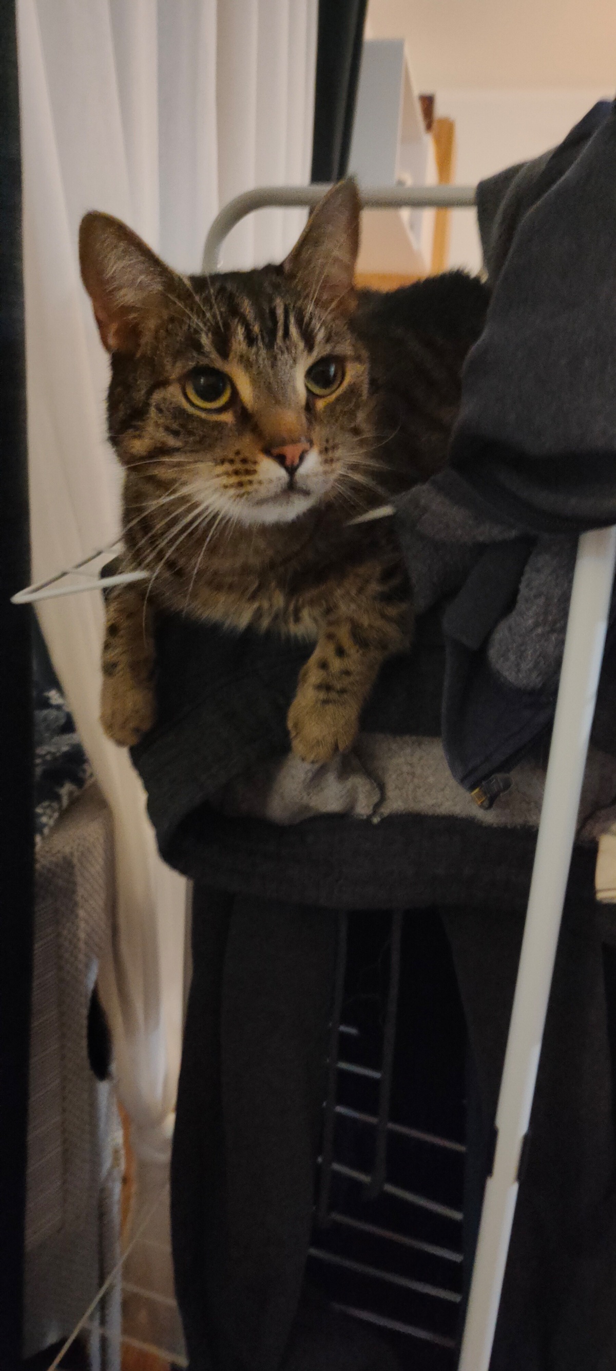 e062eb47-804d-402c-88d4-b558aada6b81