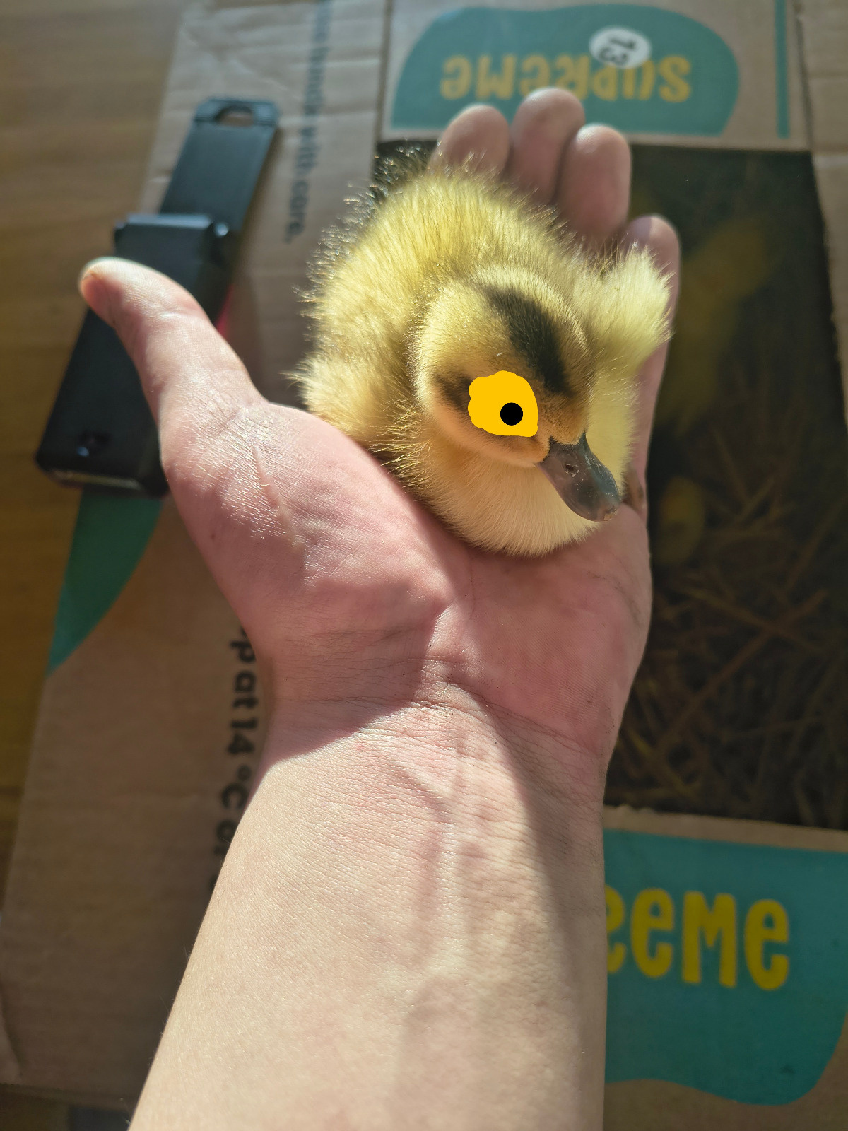 45583b07-0213-49dd-b1d3-16c46f8d4d95