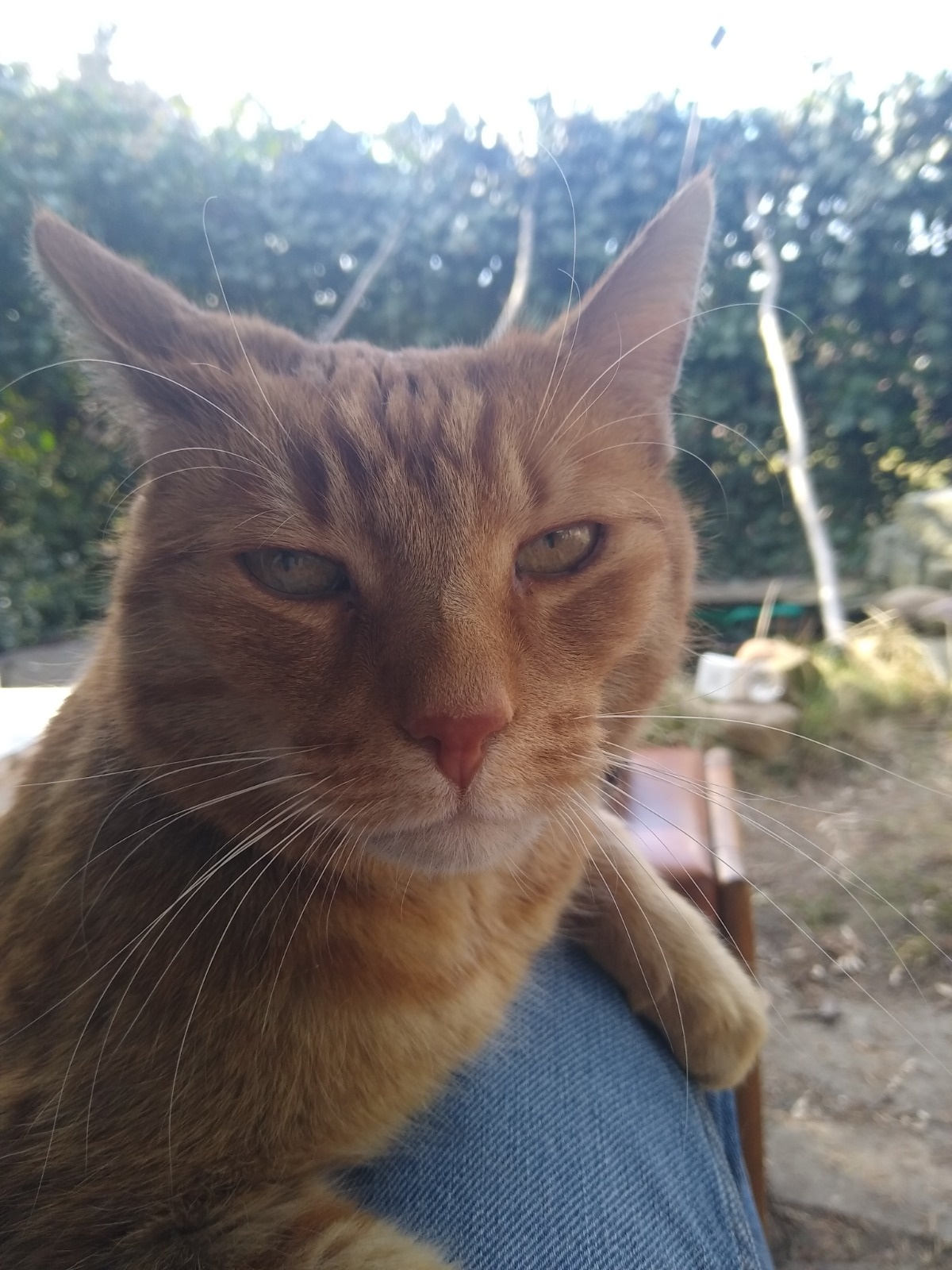 977e92c6-46b6-401c-b2eb-1e65cad7c354