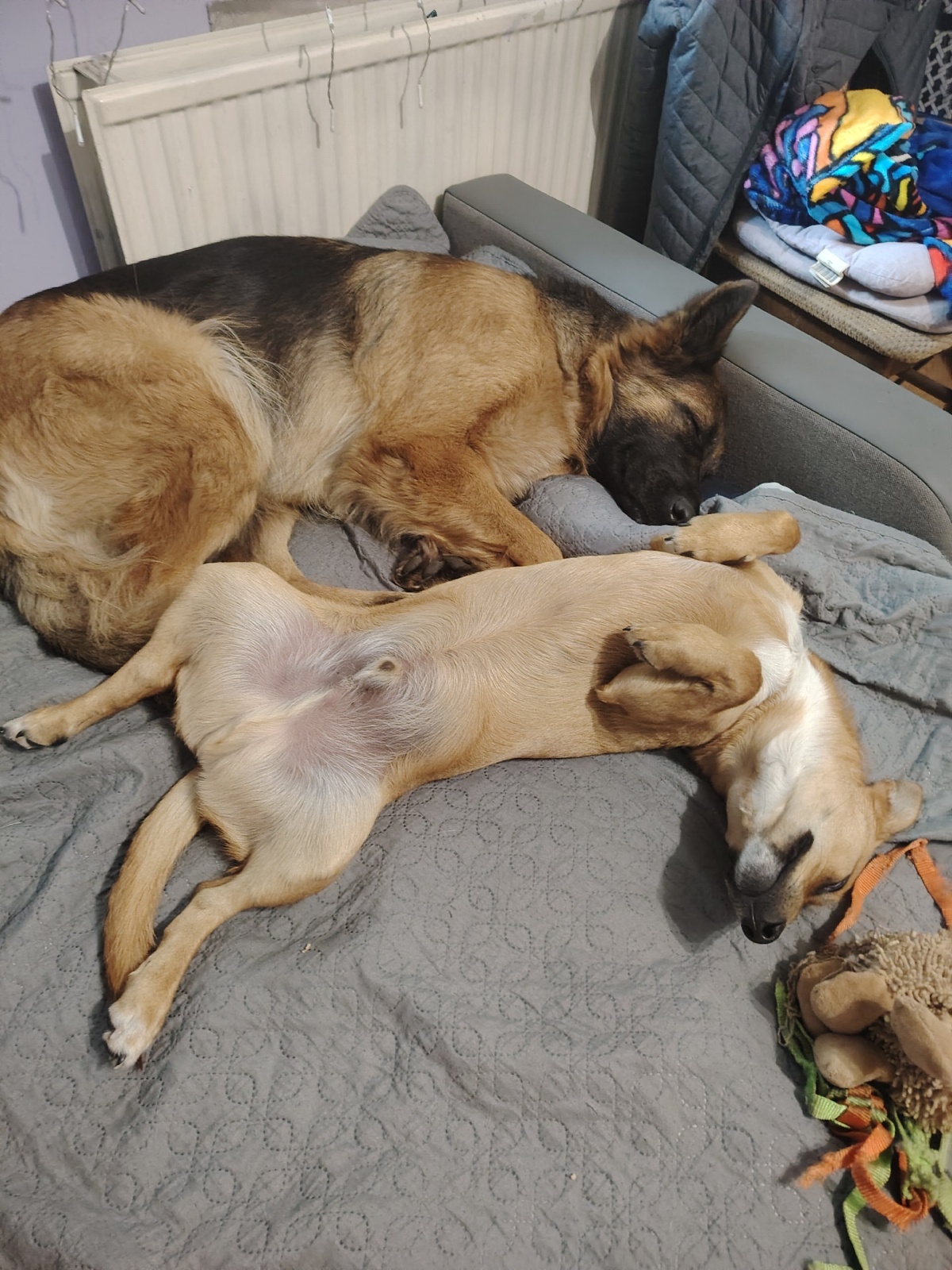 0bd09321-2b72-4801-9bb4-419f089feaf8