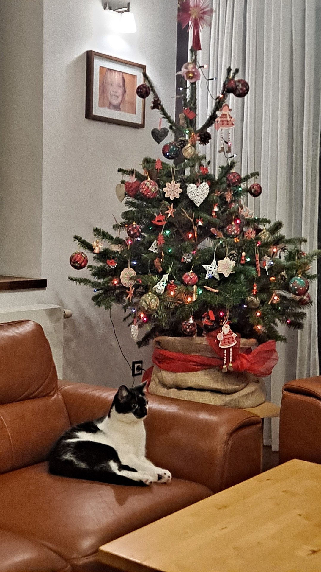 76620923-7818-44ef-b6b0-4d9d90ac6282