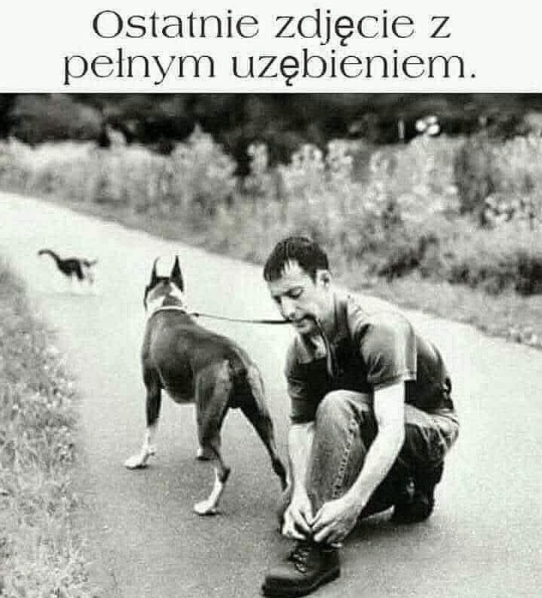 46f0f0ad-0b79-4766-b172-d199fec47d20