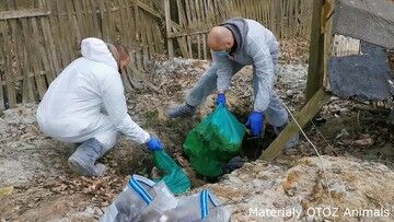 Pseudohodowla zwierząt. Na posesji odkryto prawie 250 padłych psów