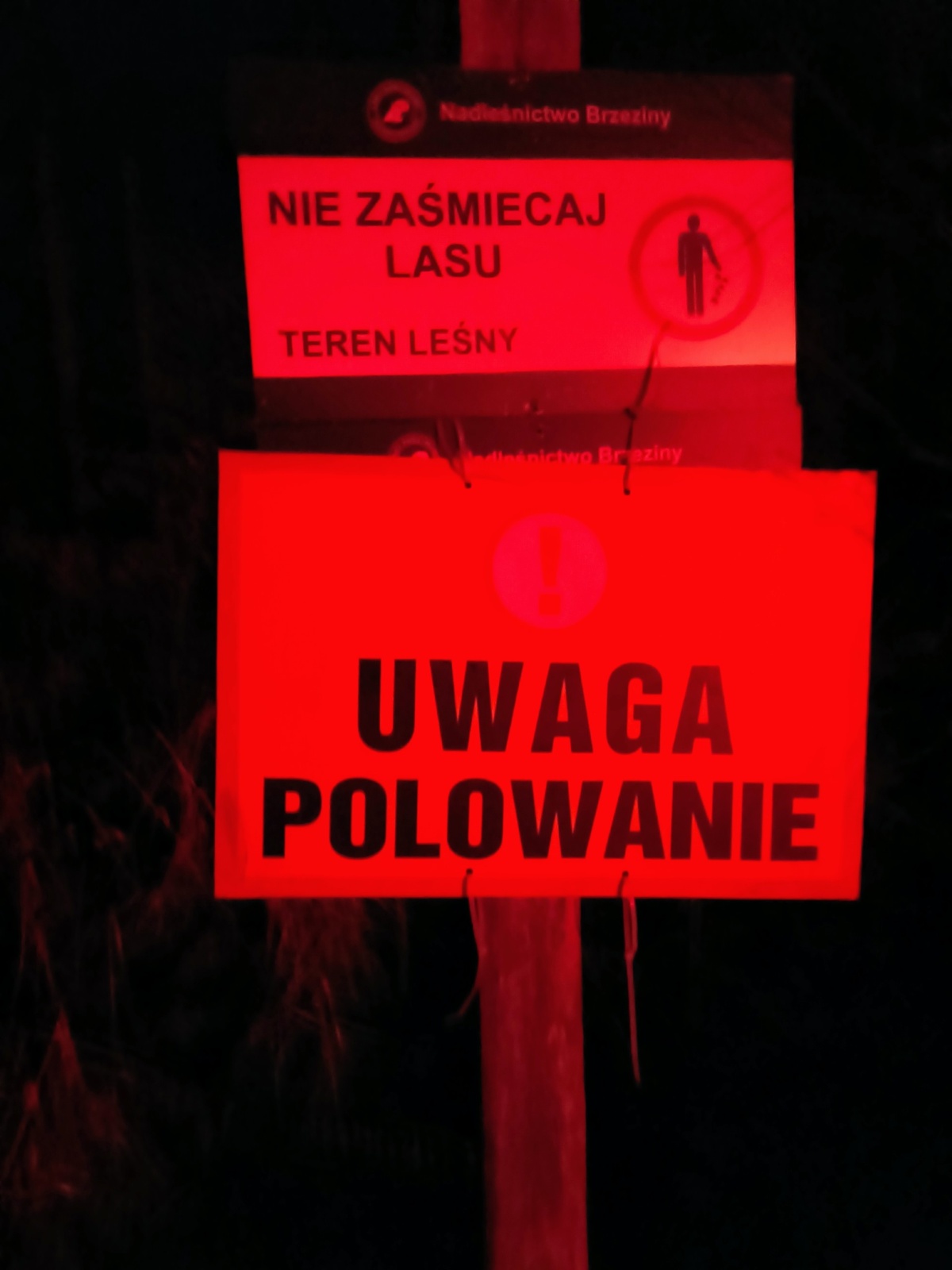 aa1be4da-b706-4677-b644-006de9bcb0b1