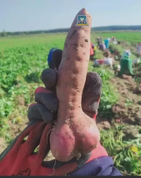 72d3c1c8-0281-449e-8292-b6bd72cf0c5c