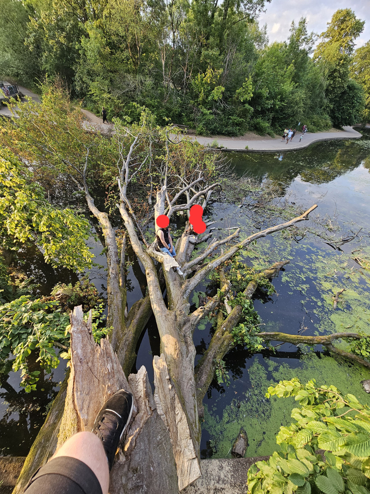 44c59477-8e82-4a36-9e67-f2678c29f9aa