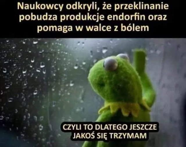 41d0f103-1bd3-40c1-888f-26929ea66d47