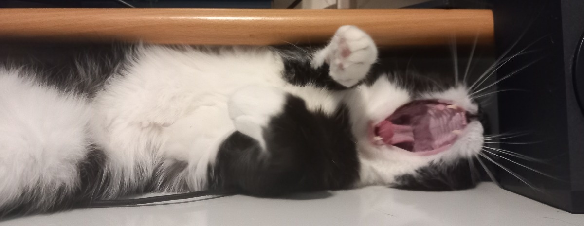 efd2d31d-0df1-4598-9813-071b77f75094