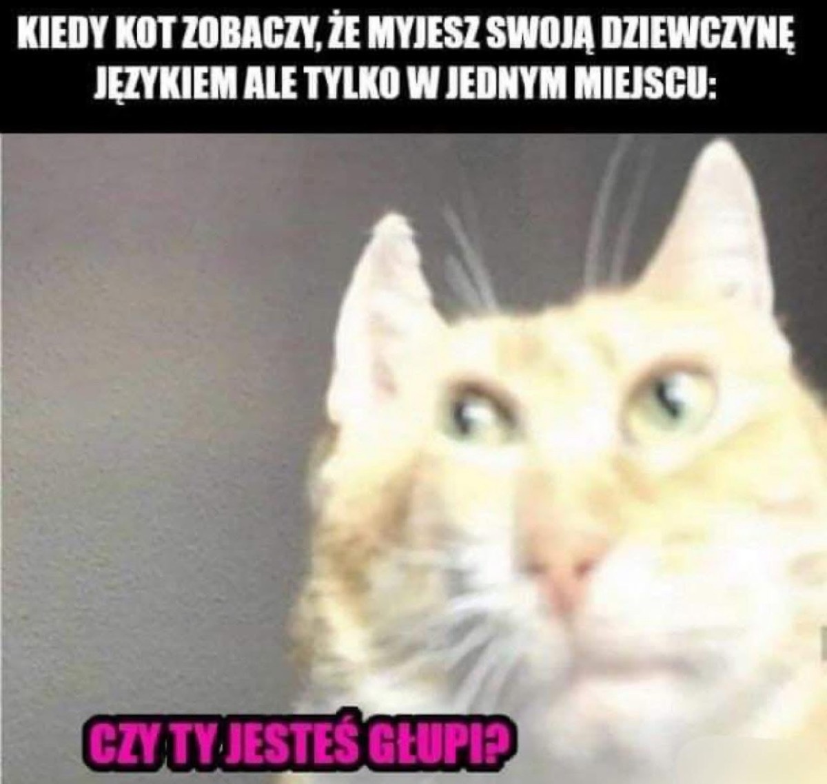 f79dffb9-d405-442d-9fcd-5e2eb3925d13