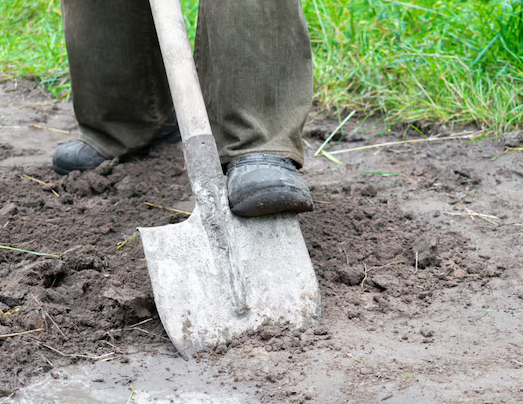 07ff1bfd-faed-4185-ad43-e63755398bcf