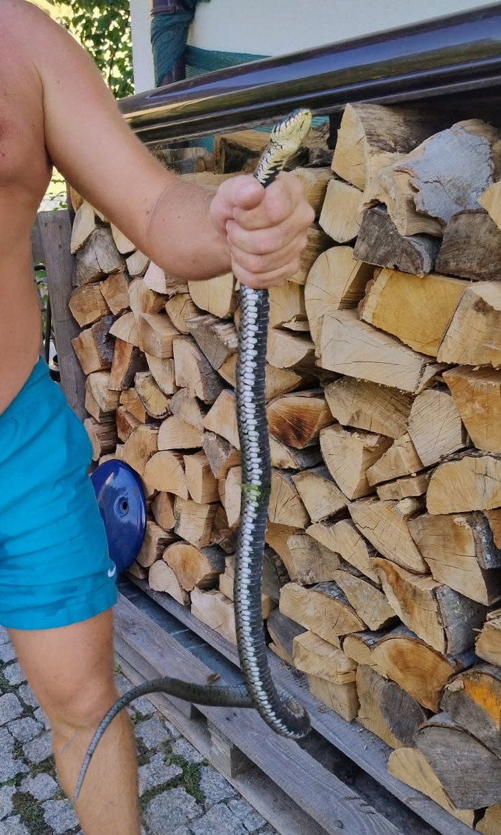 20117776-628f-4e0d-a259-edb6ea3dc916