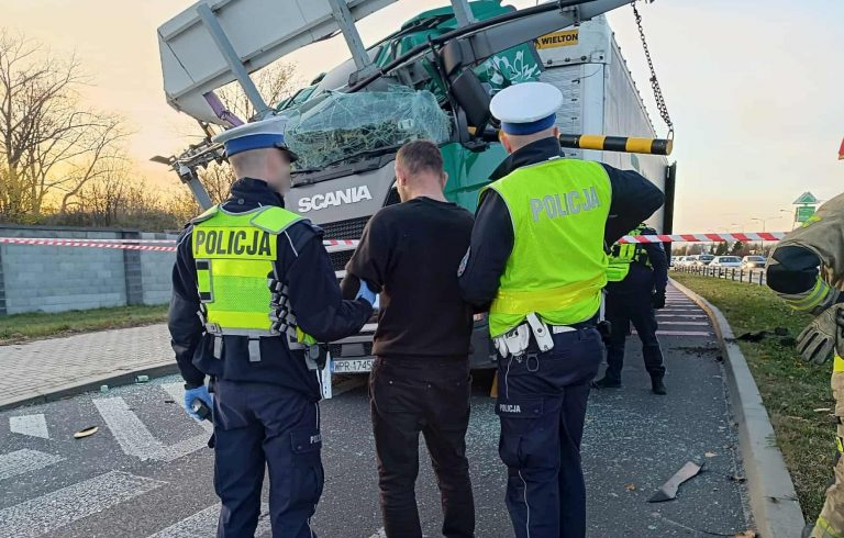 e87a7d56-9dca-4e81-a9e9-efb9b55faf88