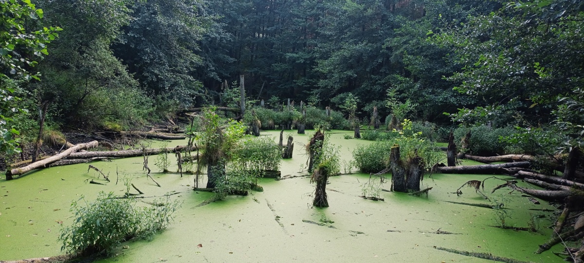 12306337-2cd6-4b87-a9bb-916c4c8b778f