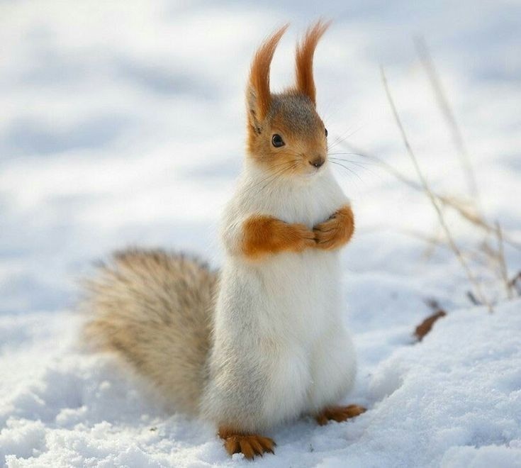 a9cf1c6d-df57-4349-9938-ad941a97b267