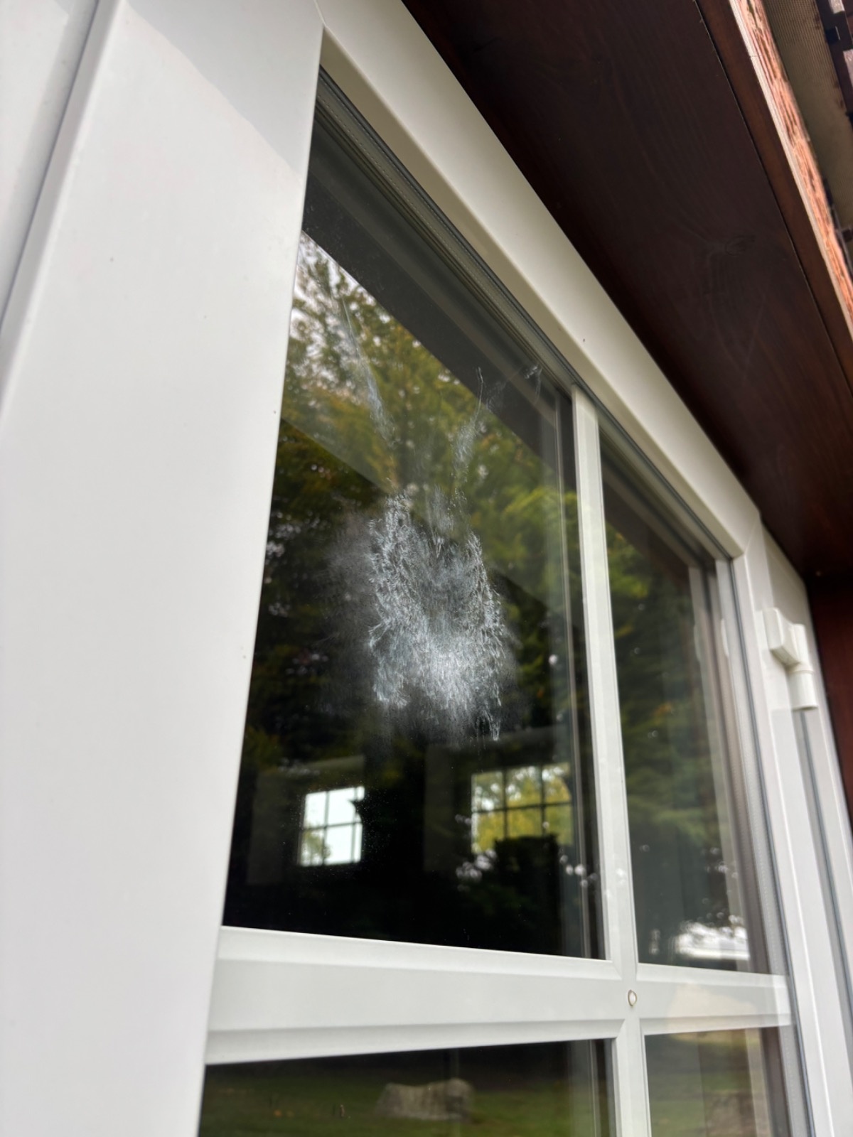 b39a4718-3e45-4c92-8ffd-220c55905e04