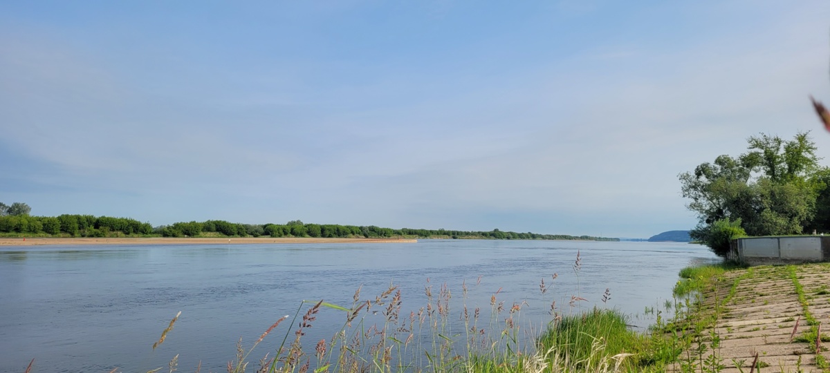 9a48ae21-d4e3-4539-8775-27819337aab5