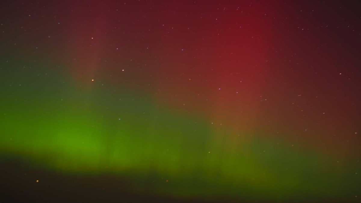 08ba87d2-090b-4fdd-8651-67d70735e75d