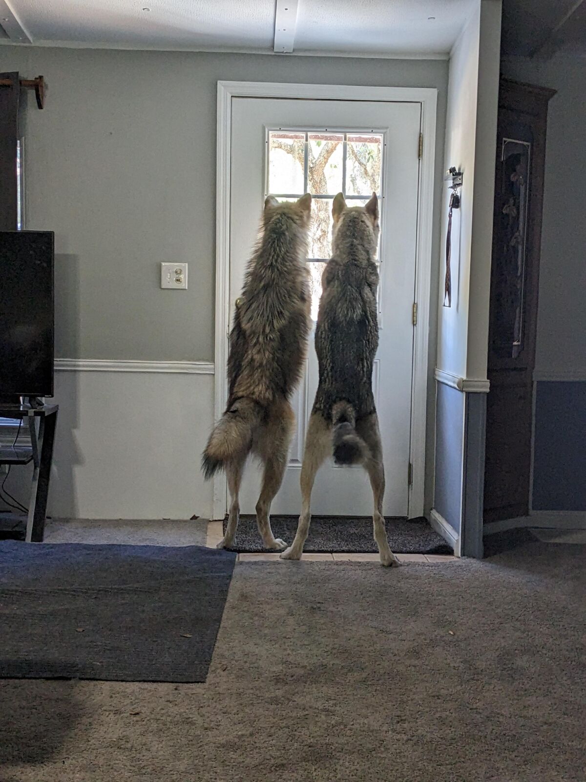 2577a706-acff-4b27-9137-60957b603861