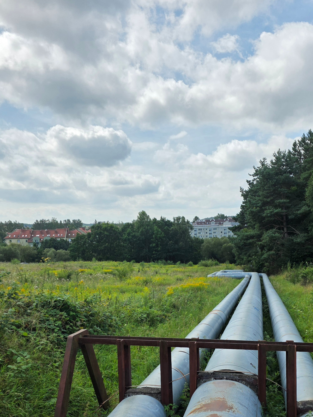 f394cc4b-525e-4f4f-b6f6-4b30ec7824e2