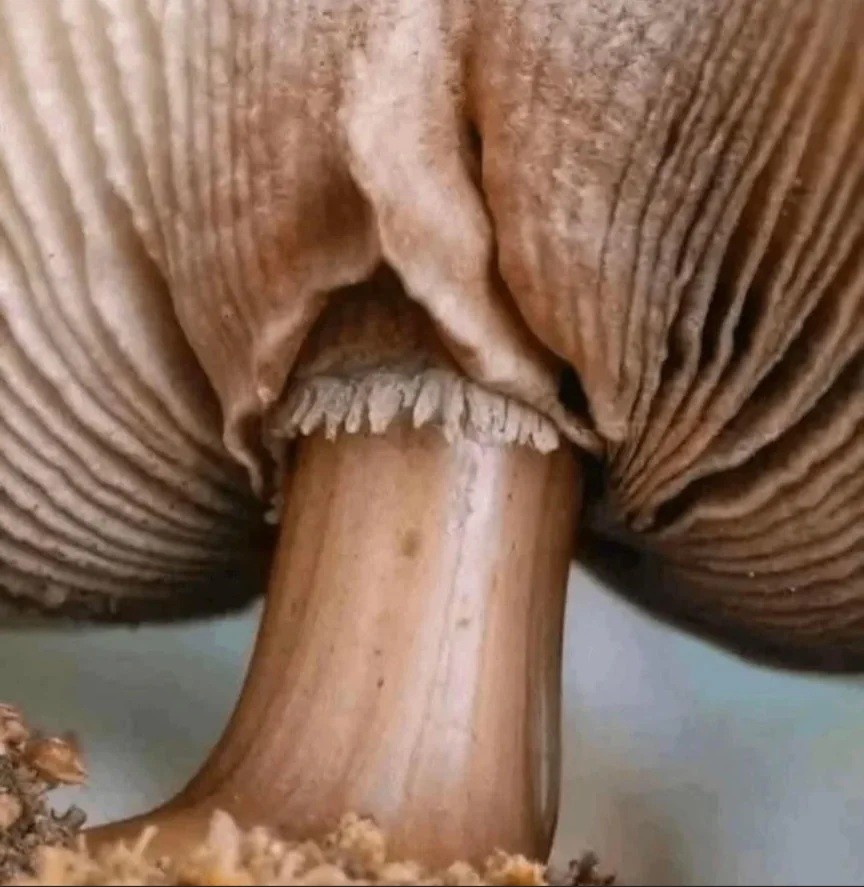 6b32d6c0-ad6f-438a-b5d8-861a02e61470