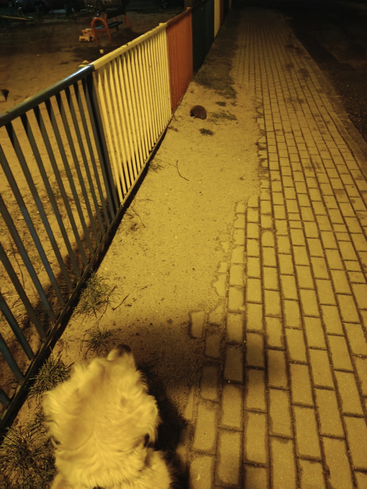 5269b783-709c-494e-86a6-57b93f29f6ae