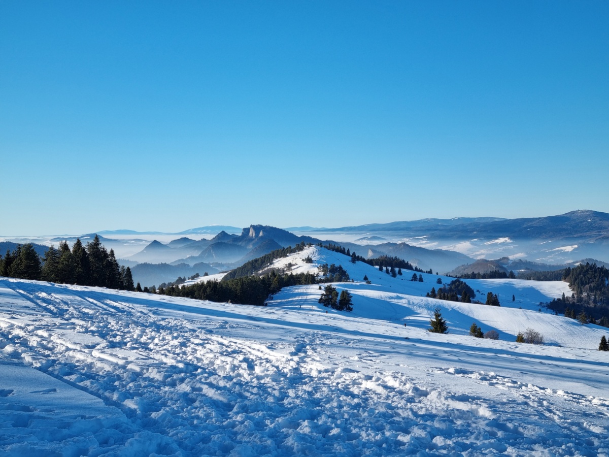 9cf530ff-7292-48af-962d-03f9acb6efa2