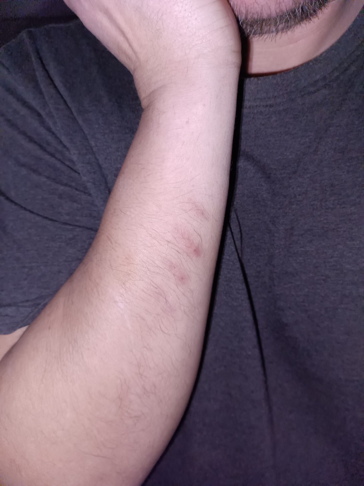 fd032e5c-47af-4ecc-adda-59609c3c3bbe