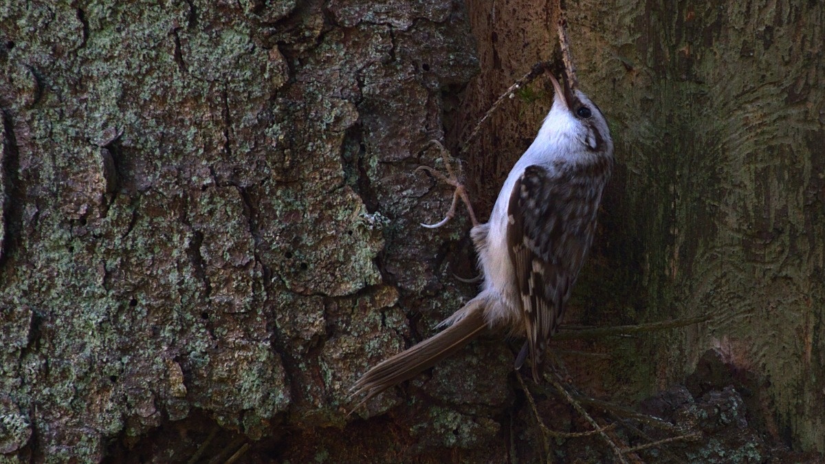 fb82094f-04fd-4853-9ecc-552b5db364aa