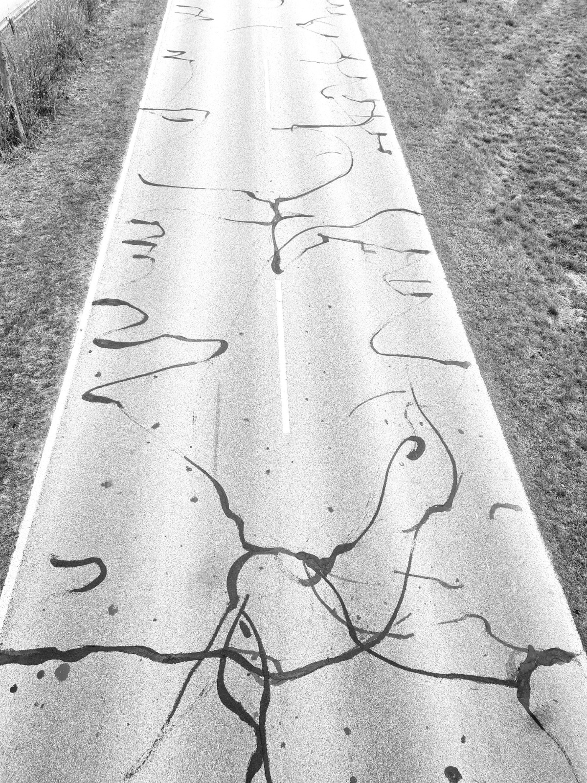 05d590a9-eca5-4c00-8081-2a03d56bbb42