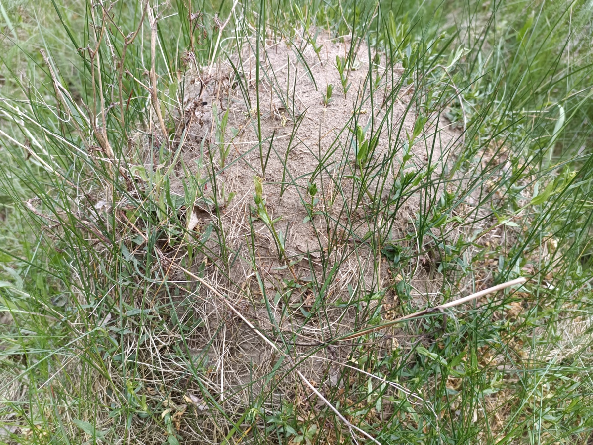 06d6b836-b730-4e69-b77d-38a46257ee9a