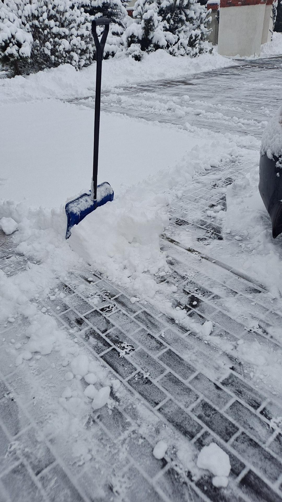 f1b368ba-983d-4450-8202-e6f510157c8d