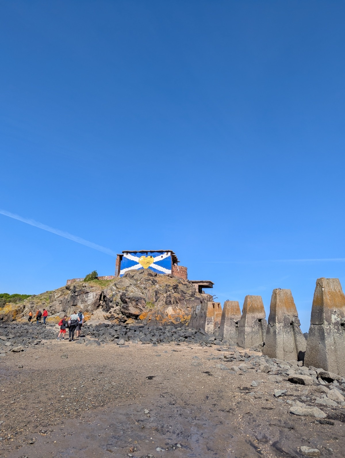 18eb8677-59d6-414c-9646-ea8a8ffabc06