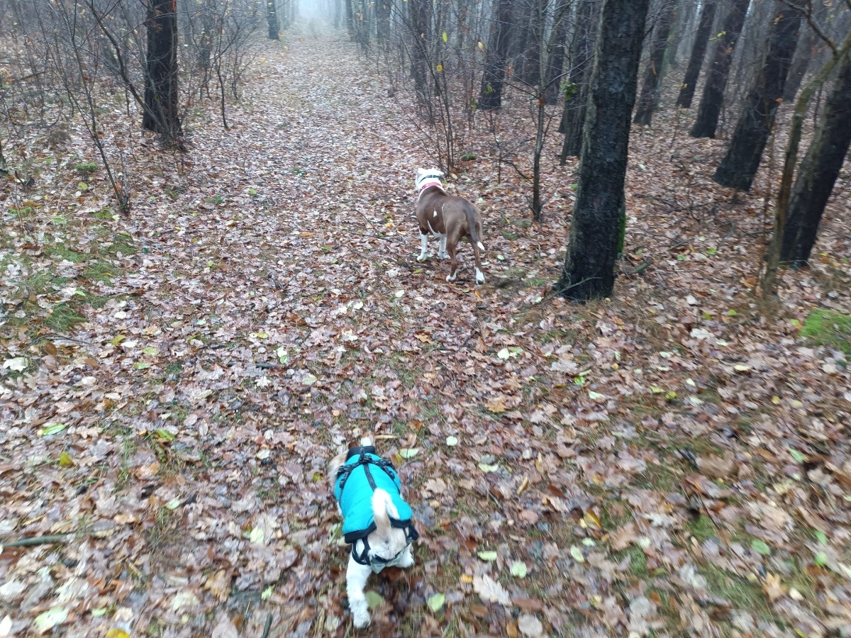 26e7c6a4-5da8-4f41-983a-b97f6d444e48