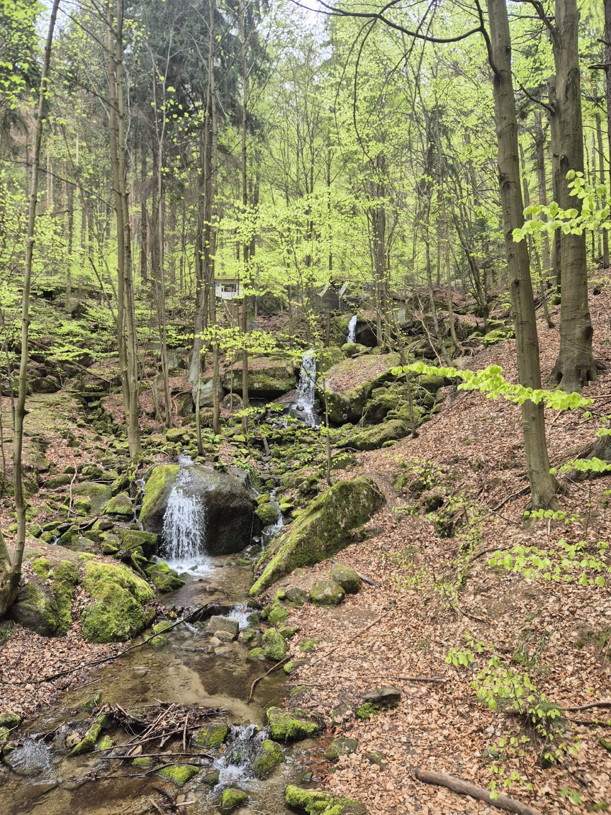 3bc279e4-5f6b-42a1-8194-011e019e9fd8